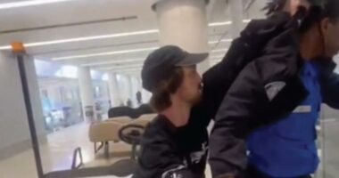 Aussie traveler gets wild at LAX, allegedly yanks agentâs hair